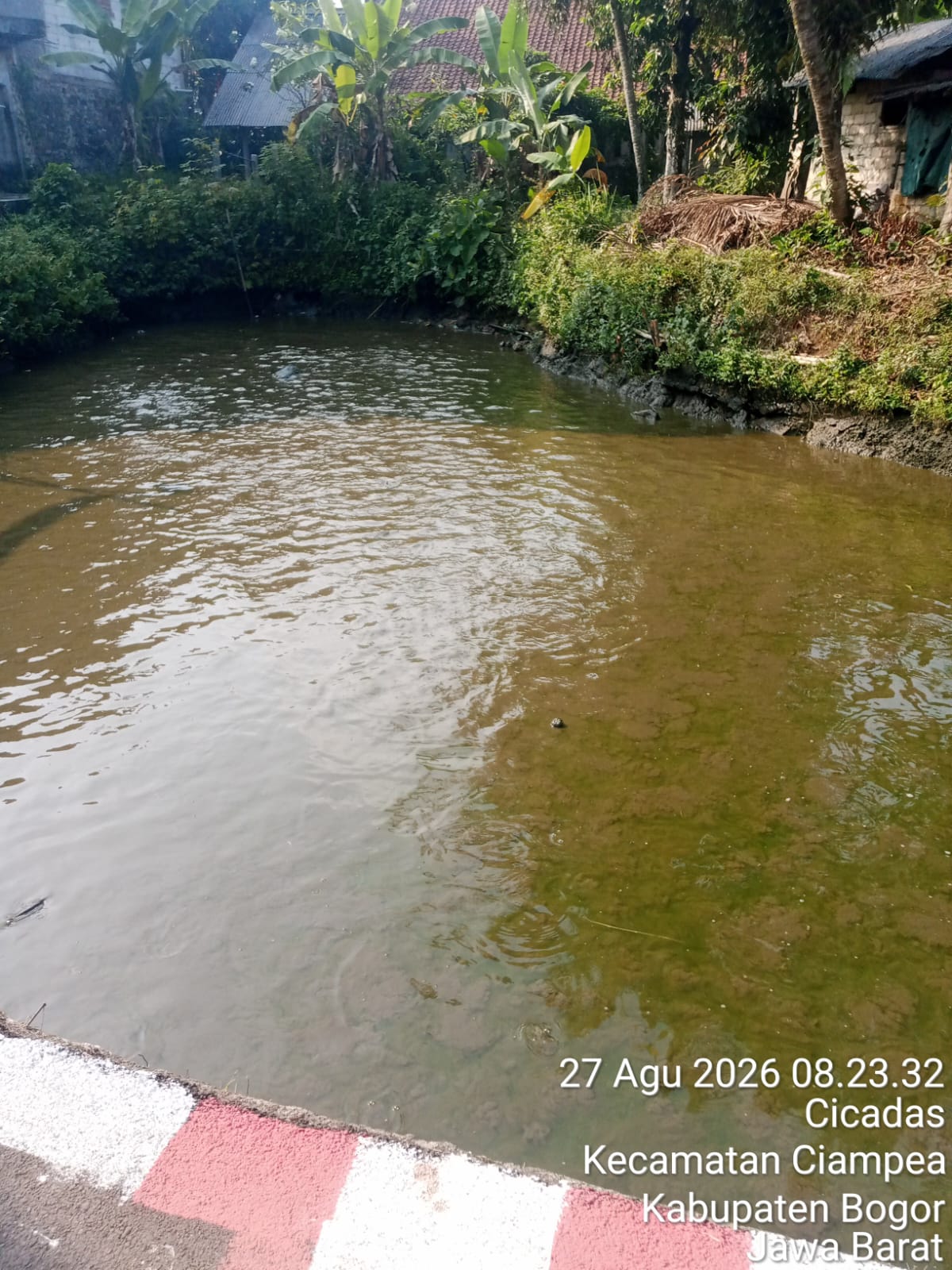 Ikan Dalam Kolam